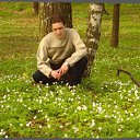 ���� ������, �����-���������, 41 ��� - ��������� 5 ���� 2015 � ������ ���� ����������