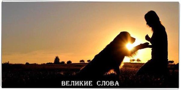 Великая мудрость – ждать. Огромное счастье – верить. И чувствовать, что опять Надежда откроет двери. ...