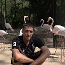 ���� �����, �������, 42 ���� - ��������� 18 ��� 2015 � ������ ���� ����������