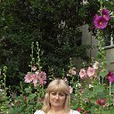 ���� ����, ���������, 60 ��� - ��������� 14 ���� 2015