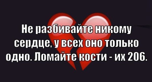  ( ) - 20  2015  11:55