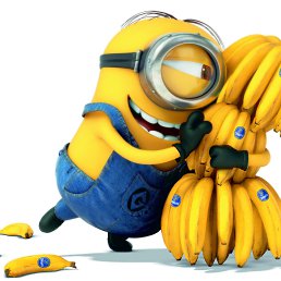 �������, �����������