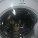 ���� ��������, ������ - ��������� 30 ������� 2015 � ������ ���� ����������