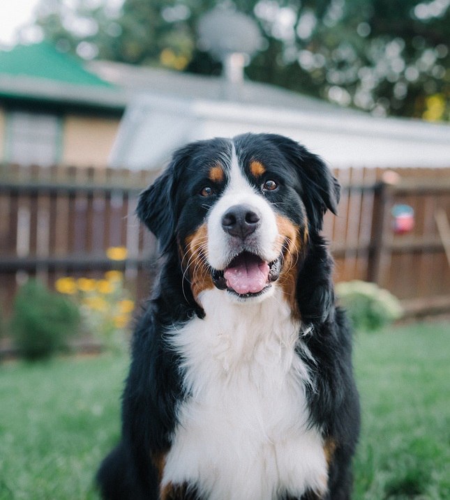   - 29  2015  14:45 - 4