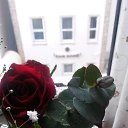 11.03.2015. �� ������� ��������