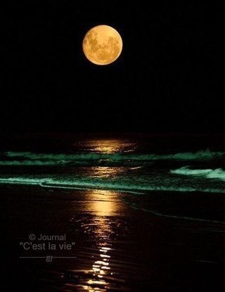 На столе перед сыном французский коньяк, Утешенья мои не нужны… — Знаешь, мам, в моей жизни чего-то ...