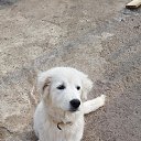 ������� �� ������� ���� ����������