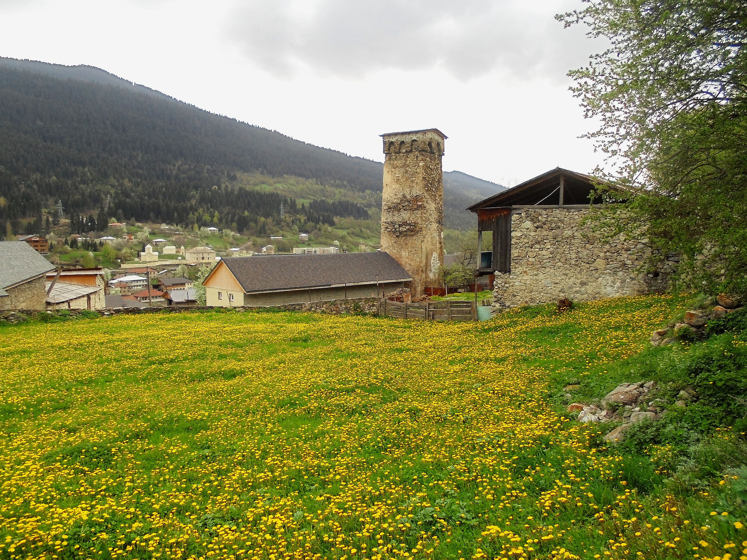 Mestia city (Svaneti, Georgia) - 6