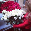 ���� �����, ������������ - ��������� 6 ��� 2015 � ������ ���� ����������