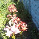 ���� Natali, ������ - ��������� 2 ���� 2015 � ������ ���� �������� 2015�