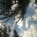 ���� Zoja, ������, 62 ���� - ��������� 7 ��� 2015 � ������ ���� ����������