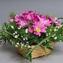 ���� �����, ������ ��� - ��������� 15 ��� 2015 � ������ �����ۻ