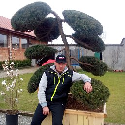 ���� ���������, ������, 44 ���� - ��������� 19 �������� 2015