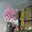 ���� �����, ������� - ��������� 2 ������� 2015 � ������ �2015 � �-� �������