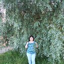 ���� �������, ������������, 52 ���� - ��������� 18 ������� 2015 � ������ ���� ����������