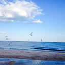 ���� ���������, ��������� - ��������� 18 �������� 2015