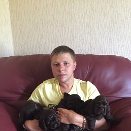 �����, ��������, 37 ���