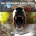 ���� ������, ��������, 46 ��� - ��������� 8 ���� 2015