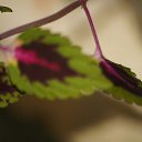 ���� ������, �������, 59 ��� - ��������� 10 ������� 2015 � ������ ������ ������