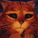 ���� ������, ������, 56 ��� - ��������� 18 ���� 2015