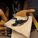 ���� ������, ������, 54 ���� - ��������� 2 �������� 2015 � ������ ���� ����������