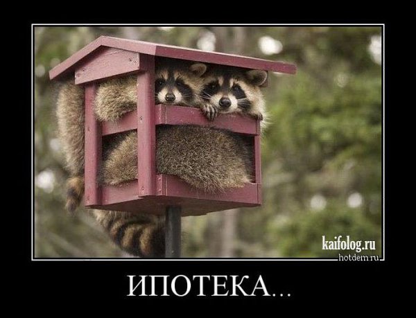 ����� - 13 ���� 2015 � 16:23