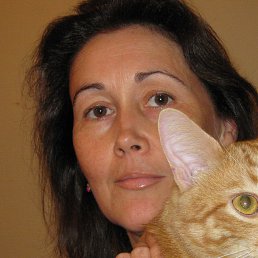 ������, ������, 54 ����