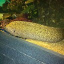 ������. �� ������� ������ 2015�