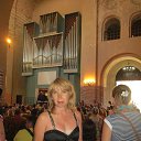 ���� ��������, ���� - ��������� 31 ���� 2015 � ������ ���������