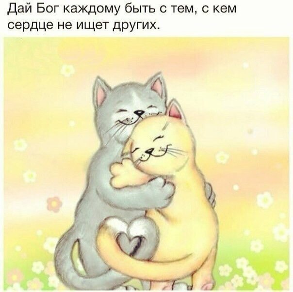   - 12  2015  14:01