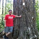 ���� �����, ����-���, 41 ��� - ��������� 4 ������� 2015 � ������ ���� ����������