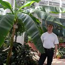 ���� Oleg, ��������� - ��������� 31 ���� 2015 � ������ ���� ����������