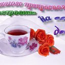 ���� �������, ���������, 49 ��� - ��������� 6 ���� 2015 � ������ ������ ��������