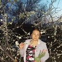 ���� ������, ��������� - ��������� 5 ��� 2015 � ������ ���� ����������