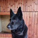 ����� �� ������� ���� ����������