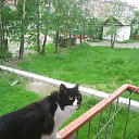 ������ ��� ��������� �� ������.. �� ������� ���� ����������