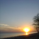 �����-����� �� ������� ���� ����������