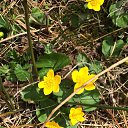 ���� ������, �����-��������� - ��������� 16 ��� 2015 � ������ ����� (���� vs ����)�