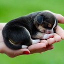 ���� ������, ��������, 53 ���� - ��������� 1 ��� 2015 � ������ ������ ��������