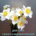 ���� �������, �������, 54 ���� - ��������� 15 ��� 2015 � ������ ���� ����������