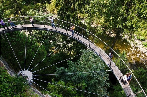     . (Capilano Suspension Bridge)    , ... - 3