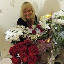 ���� ������, ������, 49 ��� - ��������� 18 ������� 2015 � ������ ���� ����������