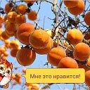 ���� ������, ���������, 49 ��� - ��������� 20 ���� 2015 � ������ �����