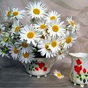 ���� ����, �������, 45 ��� - ��������� 26 ���� 2015 � ������ ������ ��������