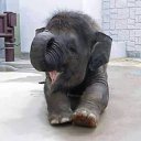  Stasja, , 44  -  8  2015    