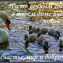 ���� �������, �������, 69 ��� - ��������� 20 ���� 2015 � ������ �������� ��������