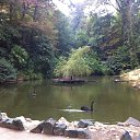 ���� �������, ������-��-���� - ��������� 12 �������� 2015 � ������ ������ 2015�