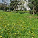 ���� ����, �������, 66 ��� - ��������� 27 ������ 2015 � ������ ������ 2015�