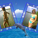 ���� �����, �����, 46 ��� - ��������� 18 ���� 2015 � ������ ���� ����������