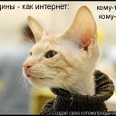 ���� �����, ������������ - ��������� 14 ���� 2015 � ������ ������ ��������